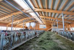 Bringen Sie Licht in Ihren Stall! Bringen Sie Licht in Ihren Stall!